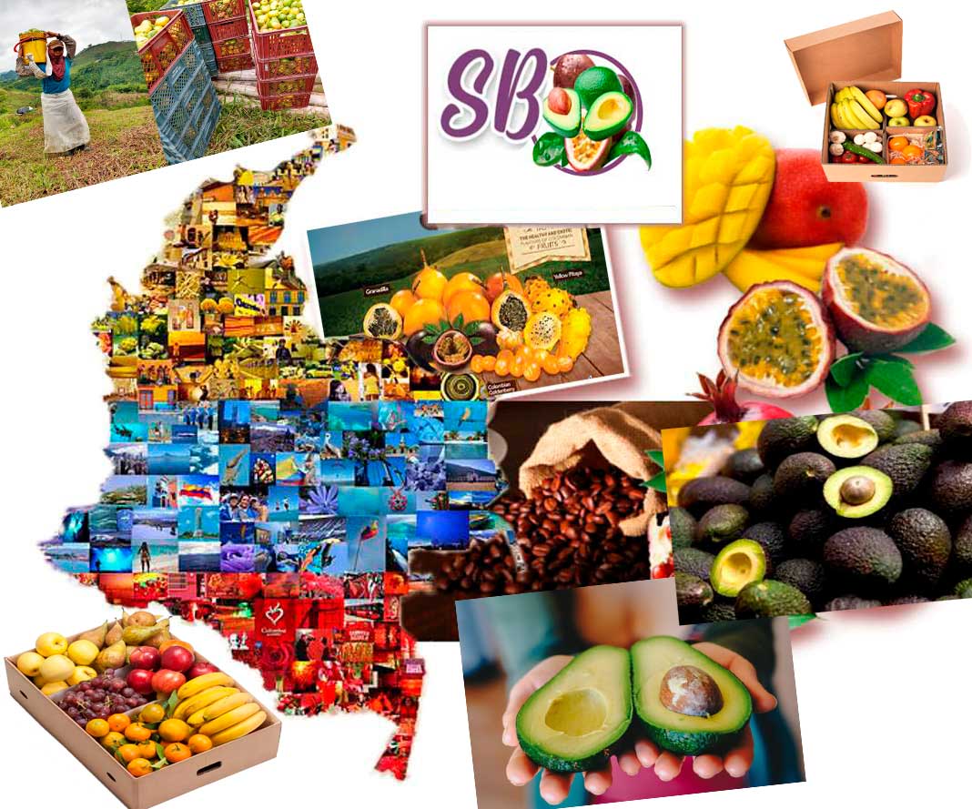 Exportación de Frutas - Colombia